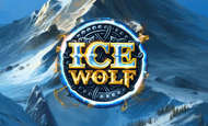 Ice Wolf 10 Free Spins No Deposit required