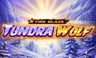 Tundra Wolf 10 Free Spins No Deposit required