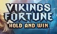 Vikings Fortune: Hold and Win 10 Free Spins No Deposit required