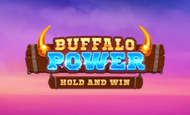 Buffalo Power: Hold and Win 10 Free Spins No Deposit required