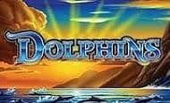 Dolphins 10 Free Spins No Deposit required