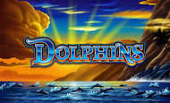 Dolphins 10 Free Spins No Deposit required
