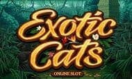 Exotic Cats 10 Free Spins No Deposit required