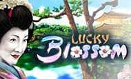 Lucky Blossom 10 Free Spins No Deposit required