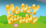 Money Bunny