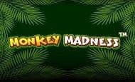 Monkey Madness 10 Free Spins No Deposit required