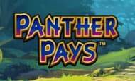 Panther Pays 10 Free Spins No Deposit required