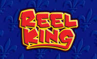 Reel King 10 Free Spins No Deposit required