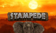 Stampede 10 Free Spins No Deposit required