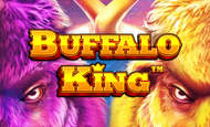 Buffalo King