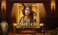 Tomb of the King 10 Free Spins No Deposit required
