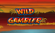 Wild Gambler