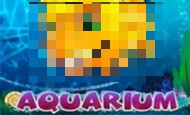 Aquarium