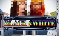 Black and White 10 Free Spins No Deposit required