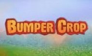 Bumper Crop Online Slot
