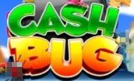 Cash Bug 10 Free Spins No Deposit required