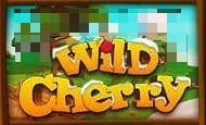Cherry Blast 10 Free Spins No Deposit required