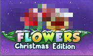 Flowers Christmas Edition