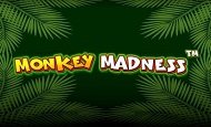 Monkey Madness Online Slot